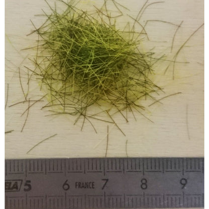 05315 Flock Static Grass 12mm Green Artisan32 1:32 scale diorama